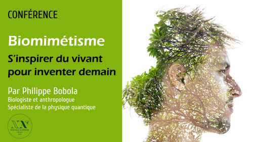 Biomimétisme : s’inspirer du vivant pour inventer demain